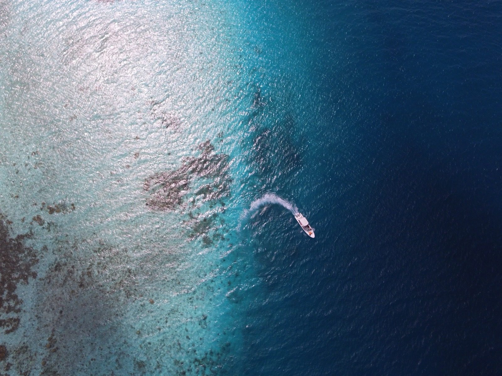 Mar turquesa Los Roques